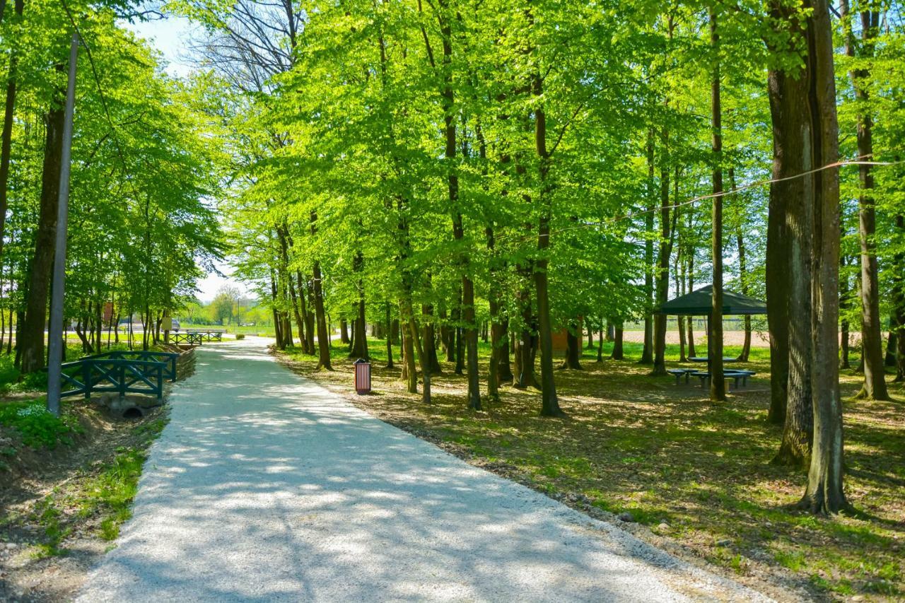 Hotel & Distillery Monogram Gradac  Zewnętrze zdjęcie